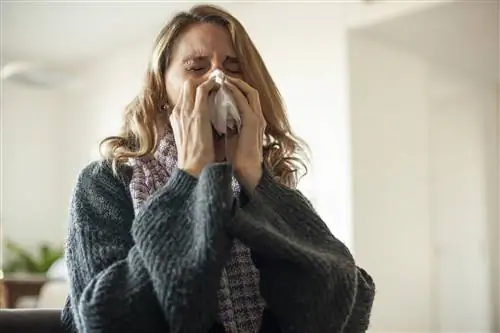 Симптомы воздействия плесени