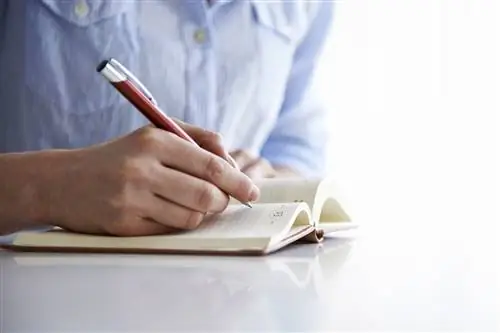 Примеры того, что включать в журнал боли