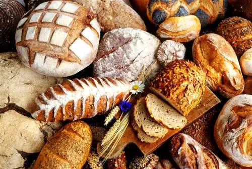 Ассорти из хлеба Ассорти из хлеба