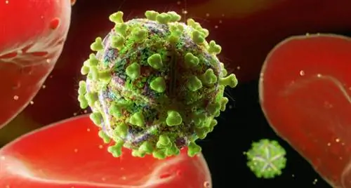 Частица вирусной инфекции ВИЧ