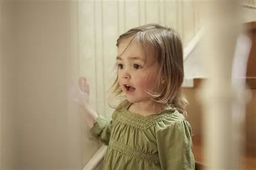 Понимание невербального аутизма