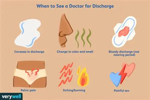 Когда обратиться к врачу для выписки