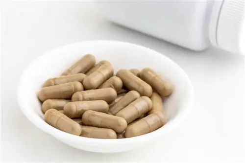 Китайские капсулы из тюбетейки