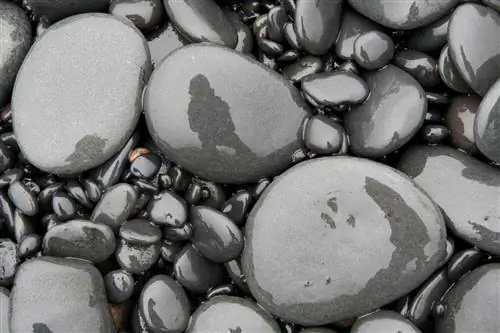 мокрые черные камни