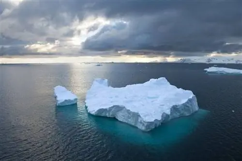 плавучий айсберг