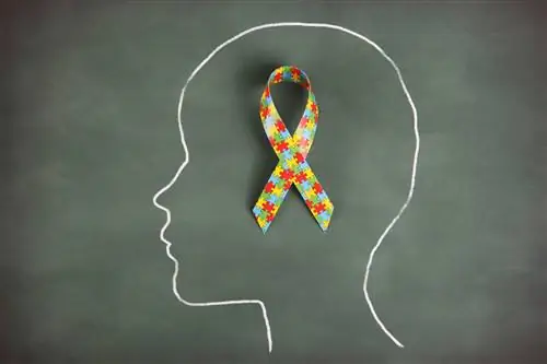 Лента из кусочков головоломки