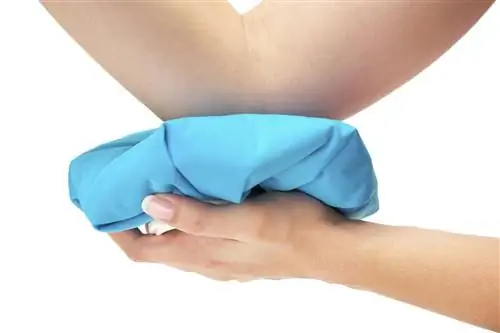 Что такое совместный выпот?