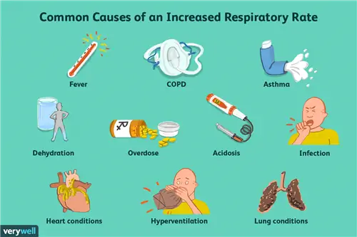 причины учащенного дыхания