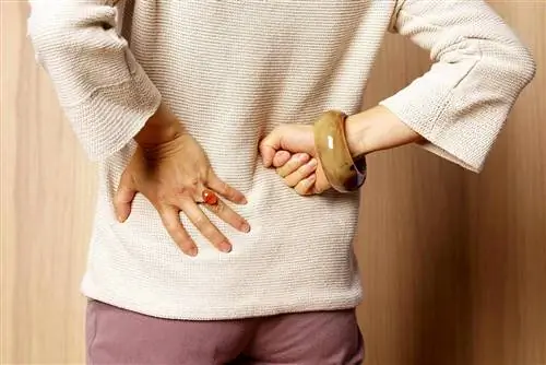 Обзор радикулопатии: симптомы, причины, лечение