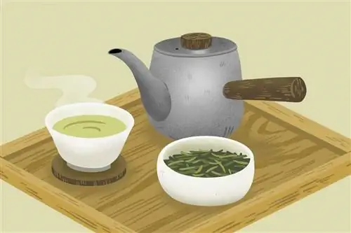 Может ли зеленый чай помочь предотвратить или вылечить рак молочной железы?