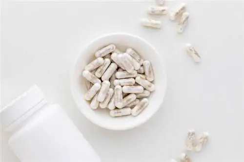 Капсулы Saccharomyces Boulardii