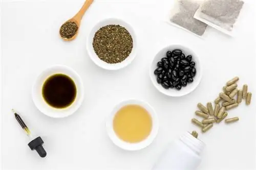 Чай из священного базилика, сушеные травы, эфирное масло, настойка и мягкие гели