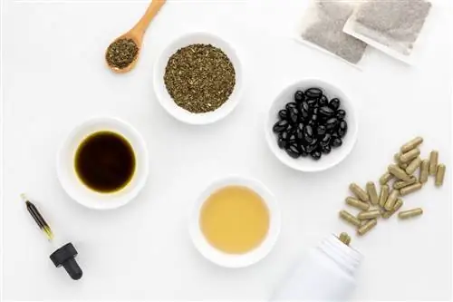 Что такое святой базилик?