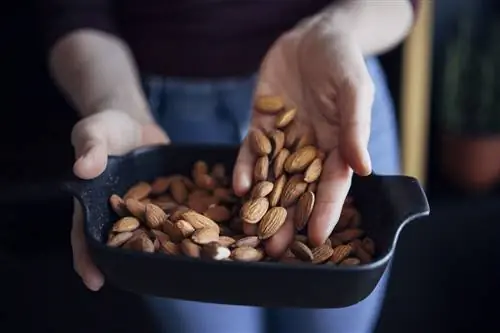 Рука держит миндаль, а другая держит контейнер с миндалем.