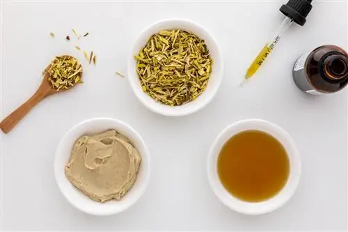 Что такое орегонский виноград?