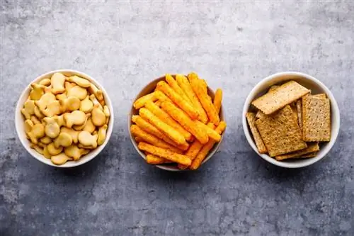 Чаши с золотыми рыбками, cheetos и крекерами Graham