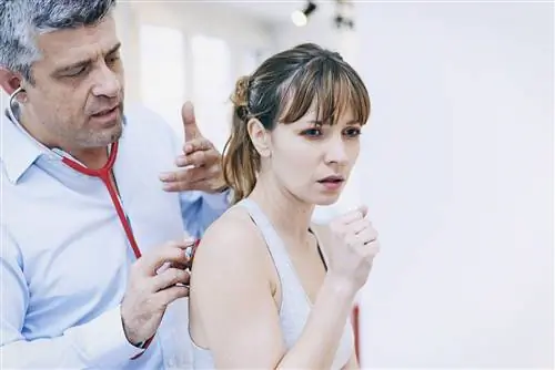 Что такое перкуссия грудной клетки?