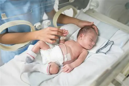 Обзор синдрома Отахара