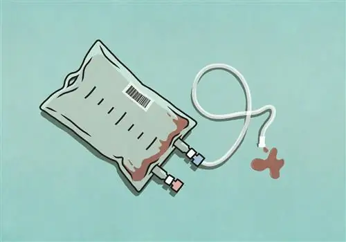 Что делать, если вы не можете сдать кровь из-за низкого уровня гемоглобина