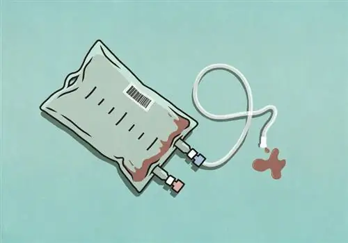 донорство крови