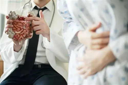 Кто такой колоректальный хирург (проктолог)?