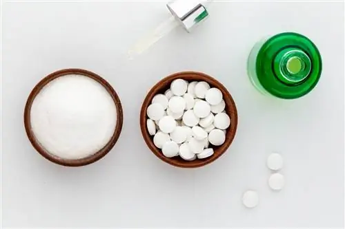 Что такое феруловая кислота?