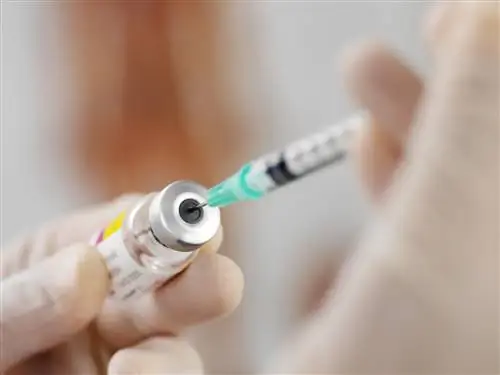 Шприц заполняется