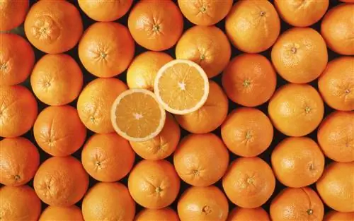 апельсины