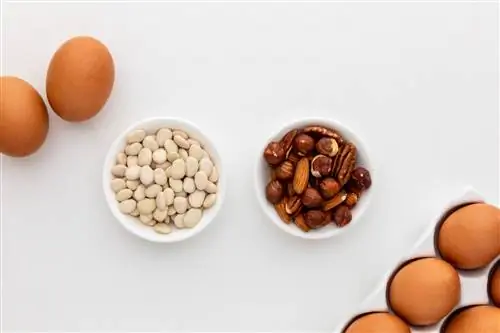 Яйца, орехи и бобы
