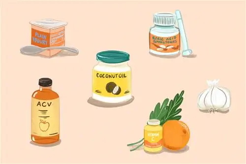 8 домашних средств от грибковых инфекций