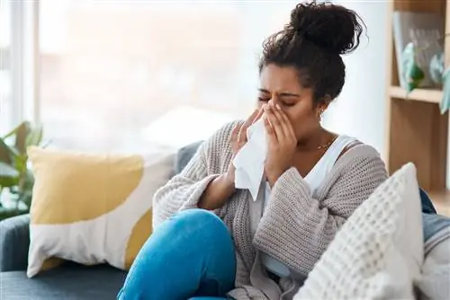 Антибиотики при инфекциях носовых пазух