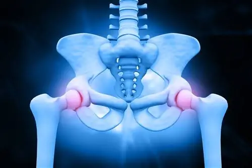 Лобок (лобковая кость): анатомия, функция и лечение