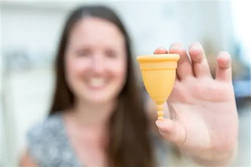 Крупный план желтой менструальной чаши, которую держит человек с длинными каштановыми волосами, размытый на заднем плане. Крупный план желтой менструальной чаши, которую держит человек с длинными каштановыми волосами, размытый на заднем плане.