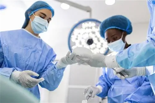 Хирургическая бригада, выполняющая операцию по имплантации груди