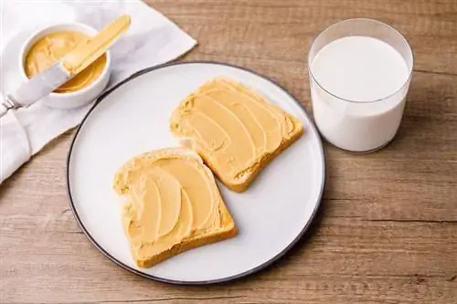 Арахисовое масло на тосте со стаканом молока