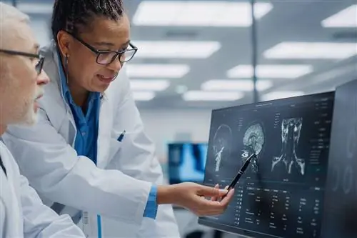 Связь между ожирением и рассеянным склерозом