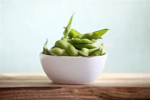 Соя и рак молочной железы