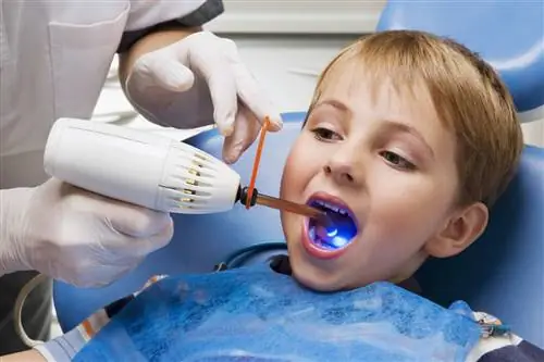 Стоматолог осматривает зубы мальчика