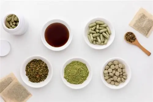 Таблетки люцерны, капсулы, чай, порошок, сушеные травы и настойка