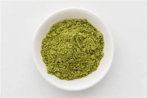 Порошок люцерны