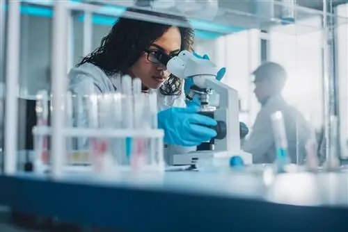 HLA-DQ2: ген первичной целиакии