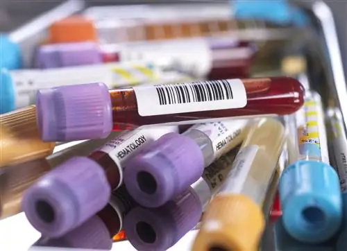 Образцы для медицинского осмотра