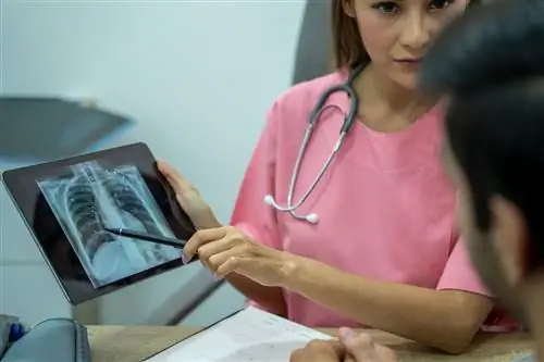 Медицинский работник обсуждает рентген легких с пациентом.
