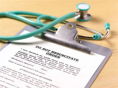 Не реанимировать форму заказа в буфере обмена, перепутанную стетоскопом