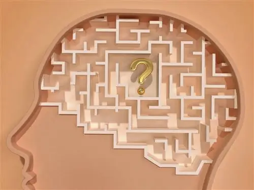 4 типа памяти в нашем мозгу