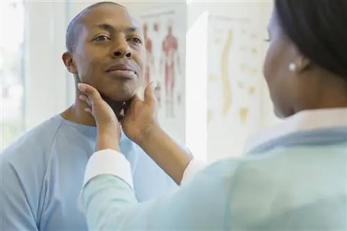 Симптомы, причины, диагностика и лечение хашитоксикоза