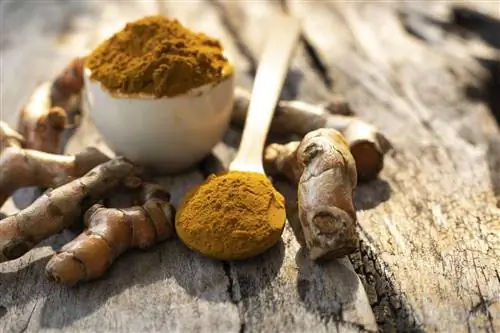 6 полезных свойств куркумы для кожи