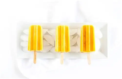 фруктовое мороженое из тропического манго