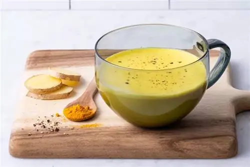 Золотое молоко