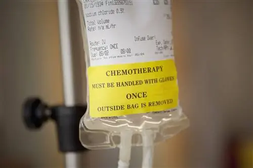 Экстравазация: симптомы, лечение и профилактика